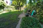 Proprietate rara: apartament 4 camere cu curte de 200 mp - 10
