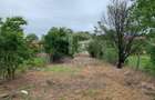 Teren intravilan 2562mp Loc 23 August | Ideal locuiță sau casă vacanță - 3