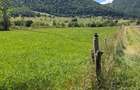Vand teren Zarnesti str Piatra Craiului 161 - 1