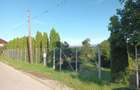 Teren intravilan pentru casa - 3