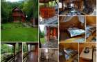 Casa de vacanta/cabana din lemn in Bucin - 2