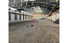 Vanzare spatiu industrialhaladepozit Giurgiu - Port, Giurgiu - 11