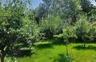 Vila cu 8 Camere Corbeanca | Semineu | Curte 2300mp | Piscina | Sauna - 3