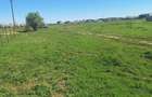 Dragomiresti- Vale, str Nucilor, teren intravilan 2.262mp. - 11