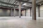 Spatiu Industrial - 5300 mp - Logistica - Productie - Depozitare - Distributie - 7