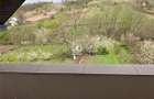 Vila de vanzare, Holboca, Ruseni - 1