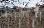 Teren intravilan de vanzare, 400 mp, Lascar Catargiu - 2