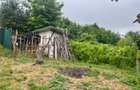 Casă P+M Chicerea Tomesti cu 2.200 mp teren, 30 ml la asfalt, livadă matură și mansardă - 10