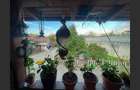 Casa 7 camere, teren 590 mp in Calnic - 4