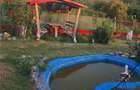 Casa parter - Comana Giurgiu - 4 camere - baie - 118mp - 600 - Comana (Giurgiu) - 7
