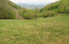 De vanzare aproape 3 Ha intr-o zona Climaterica, de o frumuse?e aparte - 6