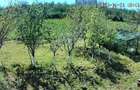 vanzare casa ?i teren 2440 mp - 5