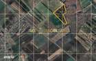 Teren Extravilan | Tartasesti - Bildana | 27 HA | Comision 0% - 2