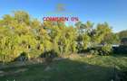 Teren Baneasa - deschidere la lac - ideal vila - premium- 2000 mp - 4