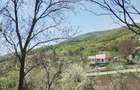 TEREN INTRAVILAN 1400 mp cu cabana ?i livada, in Garbova de Sus (Aiud), zona lini?tita, langa parau - 8