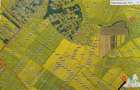 Oferim spre vanzare 6 loturi de teren extravilan (agricol) in Petrachioaia ILFOV - 2