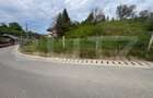 Teren intravilan 3.100 mp | Zona de case | Valea Budacului | Toate uti - 5