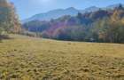 Teren intravilan Bran - Tohanita de vanzare!