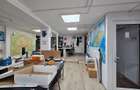 Hale Industriale 5065 mp de vanzare Str. Bradului - Bacau - 6
