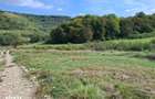 Teren intravilan 1200mp, Valea Garboului, Floresti