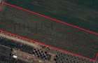 Teren Intravilan | 4913 mp | DARZA - 1