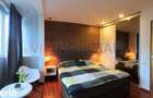 Vanzare apartament 2 camere Cantemir -Unirii, Amenajari Premium - 10