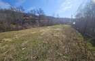 Teren 690 mp, deschidere 50 m, utilități – 1 km Primăria Ștefănești - 1