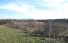 Ilfov Particular -Peninsula Ganeasa, 1075 mp. teren intravilan - 5
