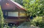 5 Camere Tunari Teleorman | Centrala termica | Gradina cu pomi fructif - 3
