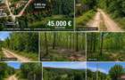 Teren intravilan 3.465 mp | Mo?oaia Hintesti | Deschidere la drum | Ideal pentru locuin?a sau inve - 1