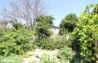 Vand teren 999mp +constructie de renovat loc. Serbestii Vechi - 5