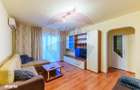 Apartament cu 2 camere de inchiriat in zona Micalaca - 11