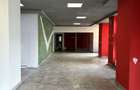 Spatiu comercial de inchiriat in Calea Aradului - 8