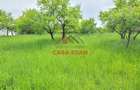 Teren intravilan in Scorteni--3999mp--55.000e - 8