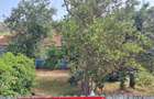 Hoceni - Teren Intravilan 4200 mp si casa batraneasca - 4