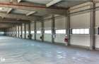 Hale industriale noi | 8004.000 MP | Centura Bucuresti - Otopeni