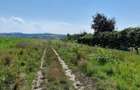 Teren de 3000 mp, în Lilieci - 2