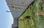 Proprietar,vand teren. - 1