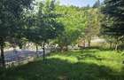 Casa de vacan?a in Fundata, Bra?ov 3.300 mp teren, acces direct din DN73 - 5