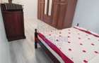Apartament 1 camera Valea Lupului - CCR - 2
