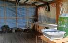 Vand casa de vacanta cu gradina si teren 4000mp Livezi Harghita - 7