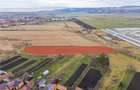 Teren extravilan Bod, 10.000 mp, acces DE 290, zona spre Harman - 7