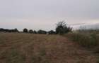 Vand teren Ciurbesti intre padure si case - 3