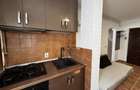 Apartament pet-friendly cu 2 camere la parter, Girocului - 9