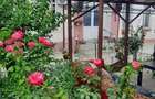 Apartament la curte 2 camere, 77 mp, Centru Istoric - 2