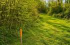 Teren 1.700 mp intravilan, natura, vecinatati bune, potential dublu, L - 8