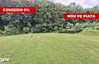 Teren intravilan 1203 mp Bascov-Florea zona Superba - 3