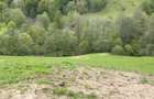 Teren la Transapuseana si unul in Mogos Poieni - 6