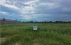 Teren Intravilan, Construibil, Ovidiu, Spre Poiana, lot de 302 mp - 7