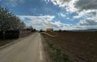 De vanzare doua loturi de teren in Fantanele-Bacau - 10